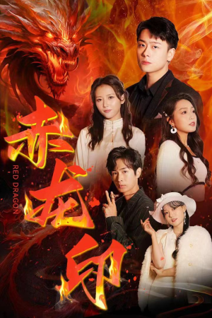 赤龙印（80集）最热短剧抢先看