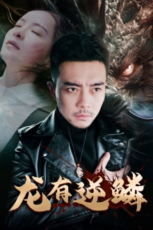 龙有逆鳞（81集）一起追生活短剧