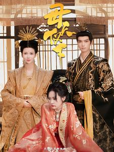 母仪天下（36集）全季一次看完