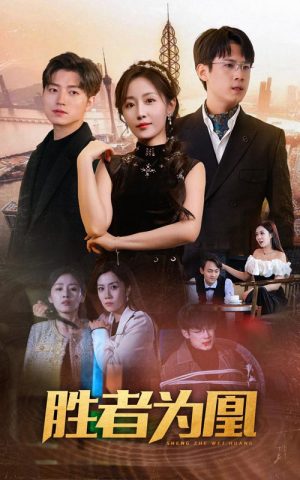 胜者为凰（89集）看过的人都说好