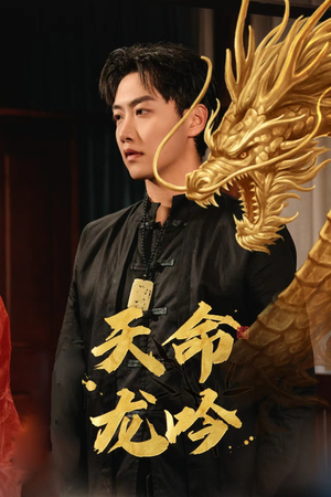 天命龙吟（48集）口碑爆棚免费看