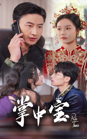 掌中宝（31集）短剧太精彩了