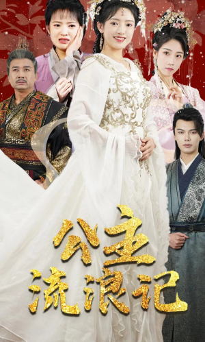 公主流浪记（91集）看到大结局