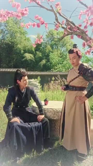 精忠报国(41集) 精忠报国(41集)在线免费观看