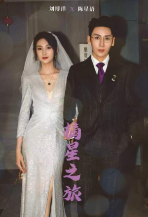 摘星之旅(88集) 摘星之旅(88集)短剧精彩绝伦