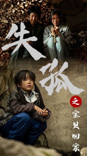 失孤之宝贝回家(71集) 失孤之宝贝回家(71集)快来看短剧