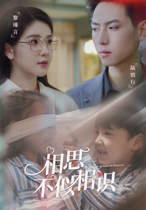 相思不似相识(101集) 相思不似相识(101集)爆火短剧追不停