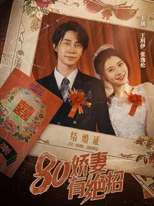 80娇妻有绝招(55集) 80娇妻有绝招(55集)一共多少集