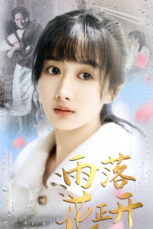 雨落花正开（62集）爱上了这部剧了