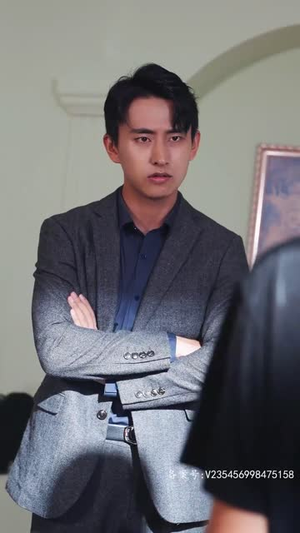 至尊天尊（100集）一口气看完全集