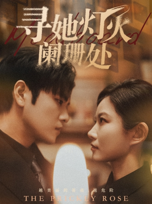 寻她灯火阑珊处(61集) 寻她灯火阑珊处(61集)好看的短剧