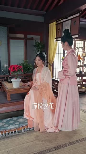 九重锦(99集) 九重锦(99集)最火的短剧