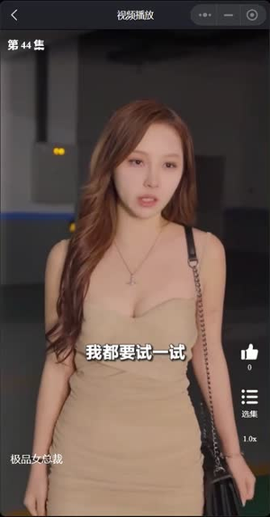 我的富豪美女总裁（我的极品女总裁）免费短剧资源