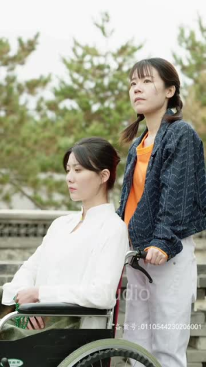 桃花沟(杏花沟) 桃花沟(杏花沟)80到100集