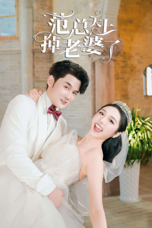 范总天上掉老婆了（78集）在线看免费版