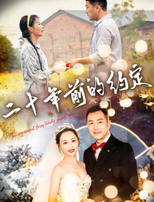 二十年前的约定（57集）短剧分享剧集