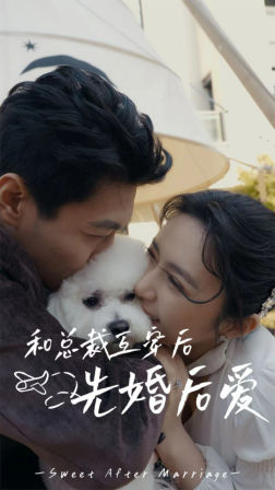 和总裁互穿后先婚后爱（60集）热门短剧在线看