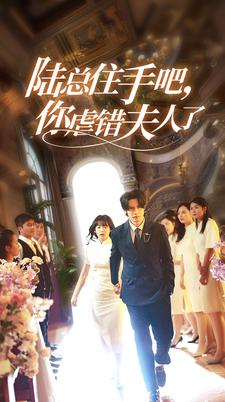 陆总住手吧，你虐错夫人了（80集）免费看全集