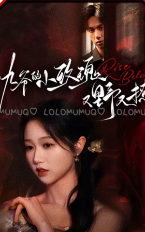 九爷的小玫瑰又野又撩(100集) 九爷的小玫瑰又野又撩(100集)短剧全集大结局