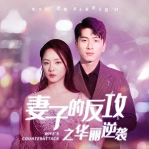 妻子的反攻之华丽逆袭(30集) 妻子的反攻之华丽逆袭(30集)一口气看完