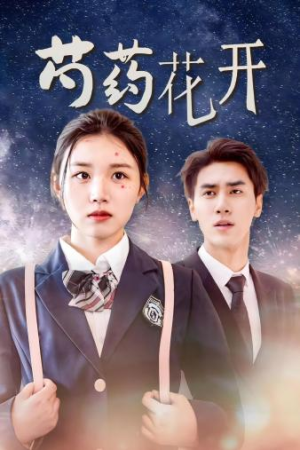 芍药花开(77集) 芍药花开(77集)经典老剧免费看