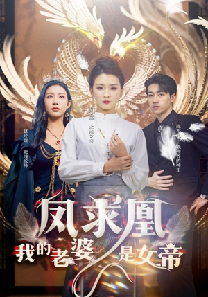 凤求凰我的老婆是女帝（97集）免费在线看全集