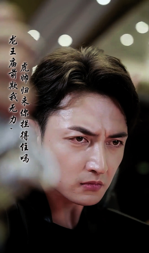 龙王庙前欺我无力，虎帅归来你拦得住吗（48集）全集免费观看