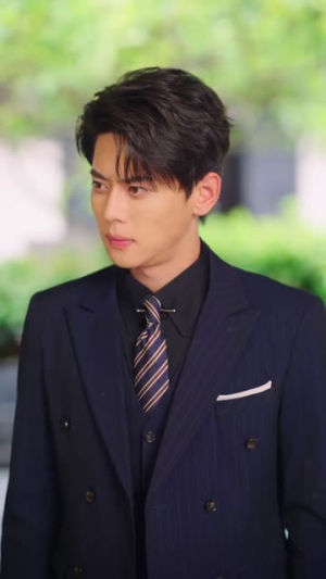 不原谅不复合苏小姐独美（65集）热门短剧大全