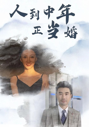 人到中年正当婚（81集）精彩短剧合集