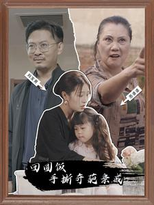 团圆饭手撕奇葩亲戚（40集）短剧全集完整