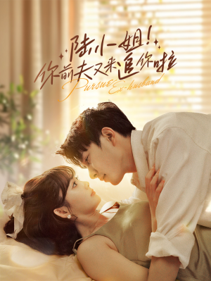 陆小姐！你前夫又来追你啦（67集）全集免费