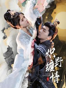 炽野缠情（95集）1-102集