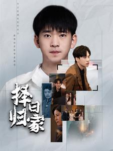 择日归家（60集）口碑之选免费看