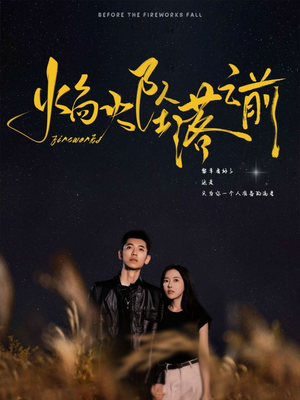 焰火坠落之前（99集）免费观看