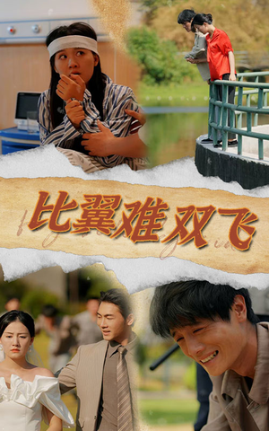 比翼难双飞(30集) 比翼难双飞(30集)解说