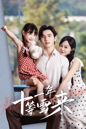 十一年等雪来（50集）追风的女孩短剧