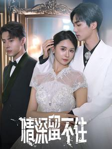 情深留不住（80集）集免费看短剧