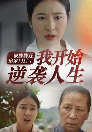 被婆婆赶出家门后我开始逆袭人生（83集）热门短剧在线看