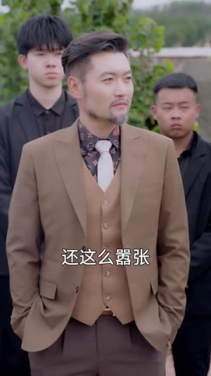 生来就是大人物（71集）免费观看全集