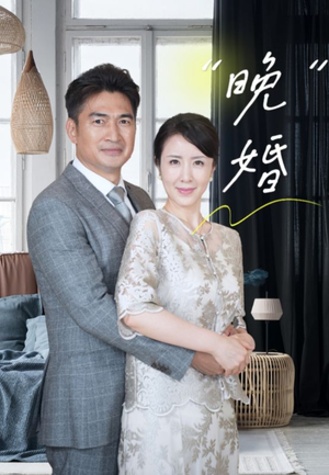 晚婚（65集）最新热剧免费看