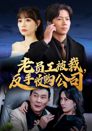 老员工被裁反手收购公司（34集）红果免费看短剧