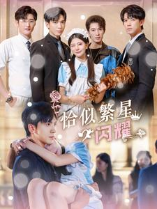 恰似繁星闪耀(74集) 恰似繁星闪耀(74集)热门短剧大全