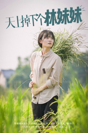 天上掉下个林妹妹（81集）短剧热门合集