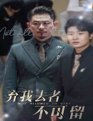 生命它璀璨如歌（60集）短剧热门合集