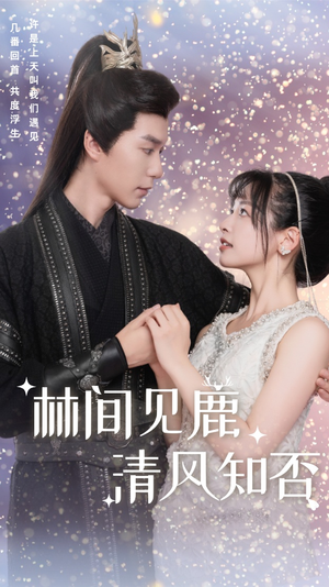 林间见鹿清风知否（62集）全剧免费观看