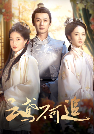 云鸢不可追（42集）热门短剧免费看