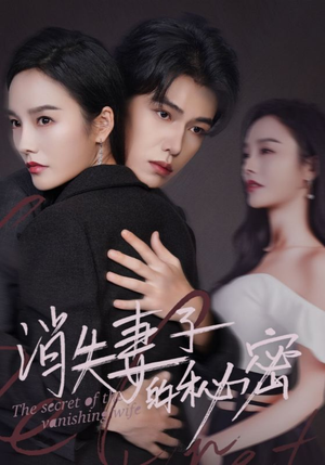 消失妻子的秘密(60) 消失妻子的秘密(60)每日短剧追不停