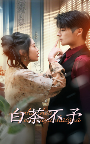 白茶不予（68集）解说