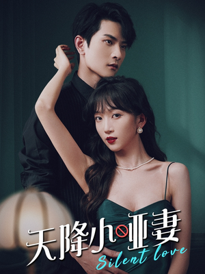 天降小哑妻(80集) 天降小哑妻(80集)番茄免费短剧