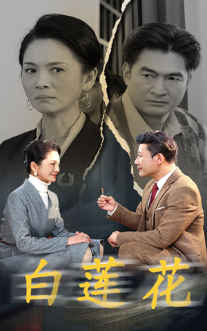 白莲花（40集）最火爆短剧